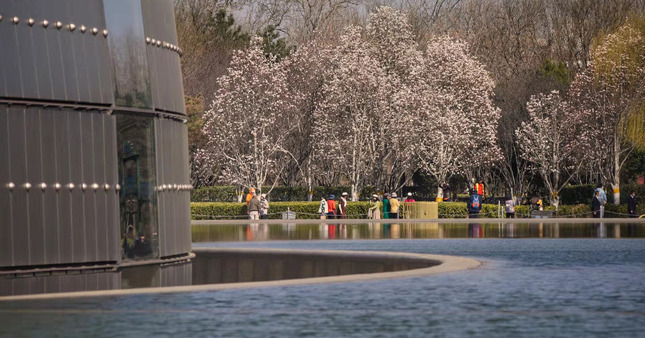 外部景觀-人工湖