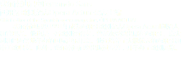 費爾南迪尼奧Fernando Sans
西班牙歌劇雜志Opera Actual雜志主編
Chief editor of the Spanish opera magazine, óPERA ACTUAL 費爾南迪尼奧1991年成為西班牙歌劇雜志Opera Actual創(chuàng)始人和管理者。他也是一名歌劇評論家，曾多次受邀出席在西班牙、意大利和巴西等地舉辦的國際聲樂比賽。他還培養(yǎng)了大批優(yōu)秀的西班牙和南美歌唱家。此外，費爾南迪尼奧出版過專著，并舉辦了歌劇展覽。
